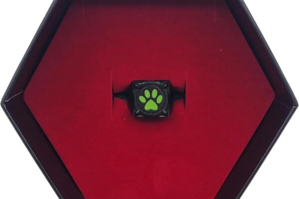 Cat Noir's Ring