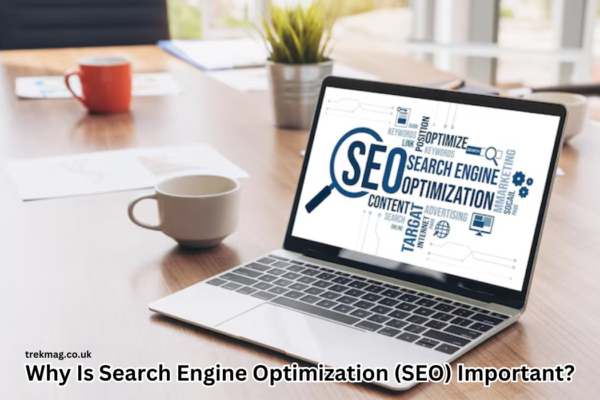 Why Is Search Engine Optimization (SEO) Important