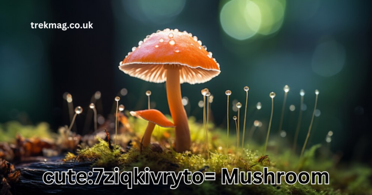 cute:7ziqkivryto= Mushroom