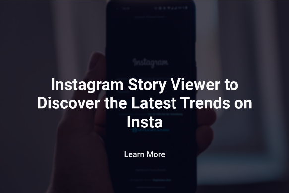 Instagram Story Viewer