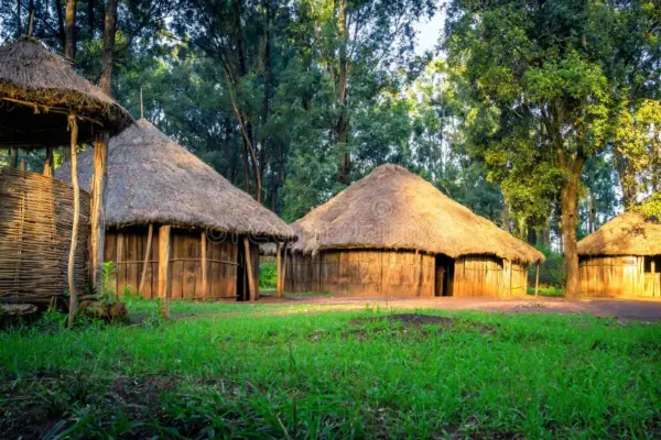 middagbezoek aan bomas of kenya en dinner carnivore